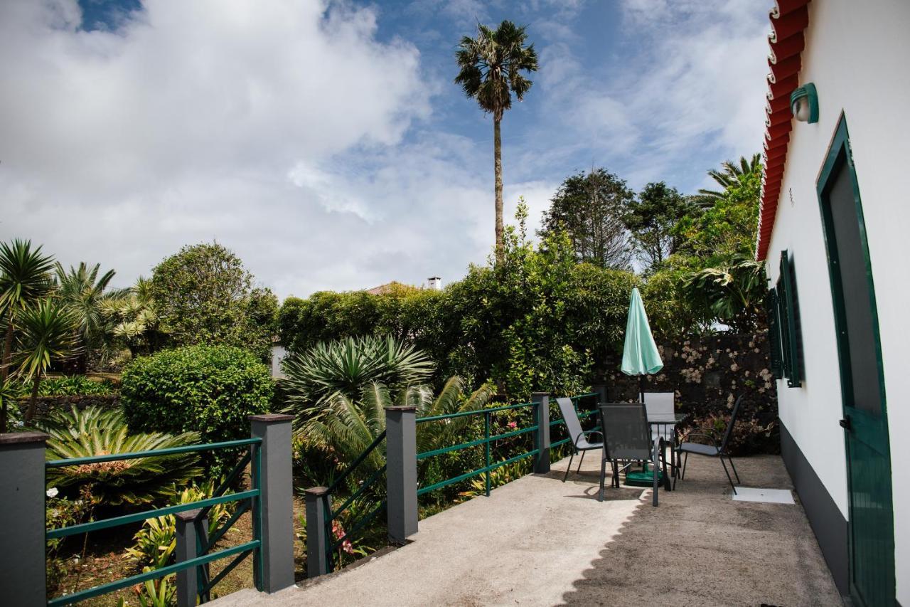 Casa Das Palmeiras São Vicente Ferreira エクステリア 写真