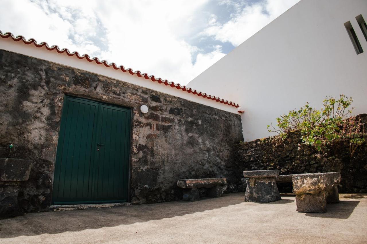 Casa Das Palmeiras São Vicente Ferreira エクステリア 写真