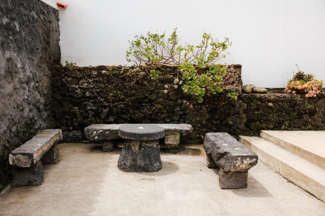 Casa Das Palmeiras São Vicente Ferreira エクステリア 写真